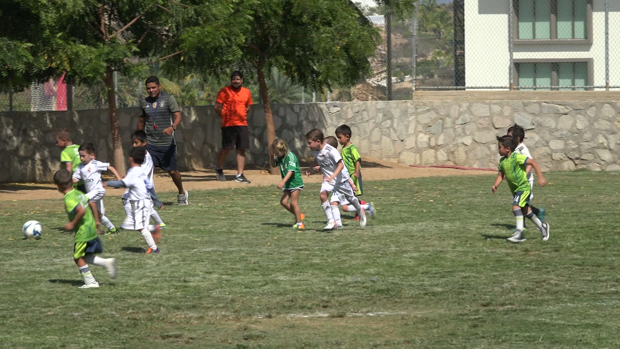A group of young players in green and white uniforms runs after the soccer ball on a bright field in San Jose del Cabo, Mexico, with coaches or adults along the far edge.