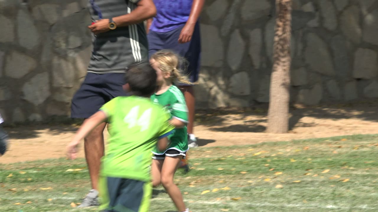 Children in green and white soccer jerseys on a sunny field.