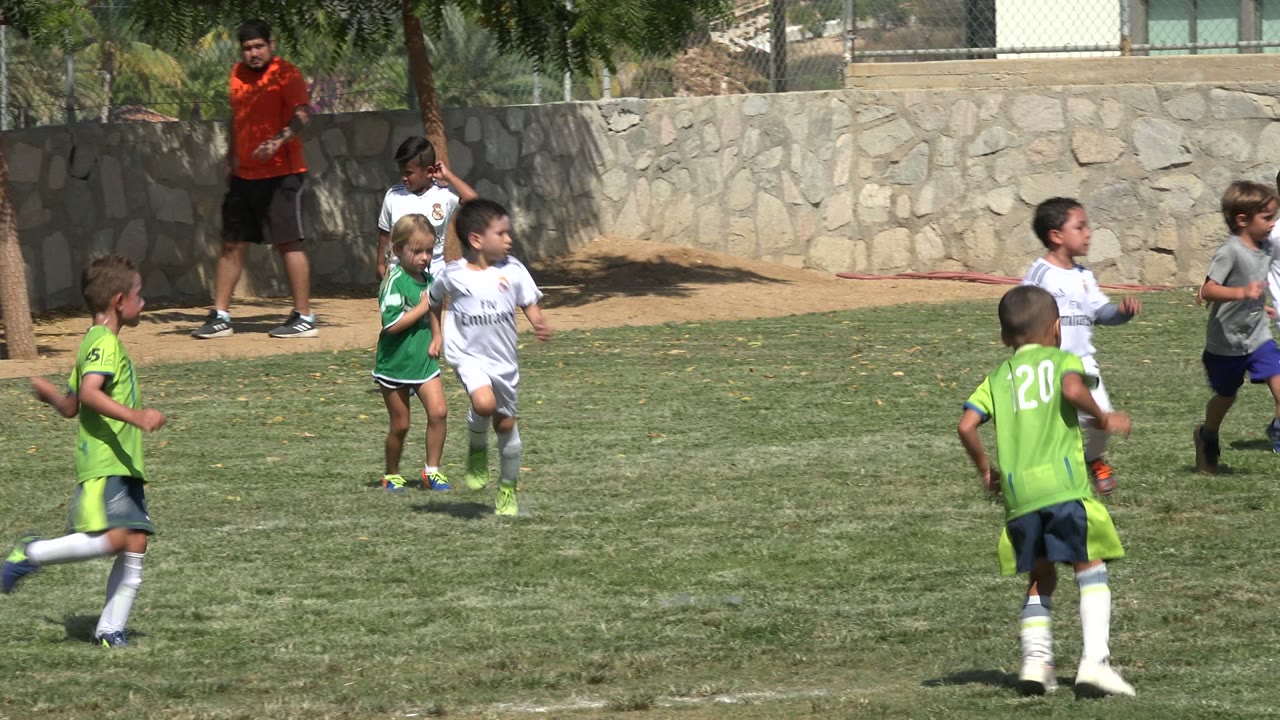 Small children in soccer uniforms move across a sunny grass field.
