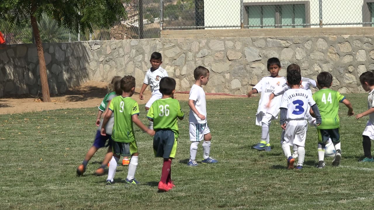 Children in green and white soccer uniforms gather around a ball on a grass field.