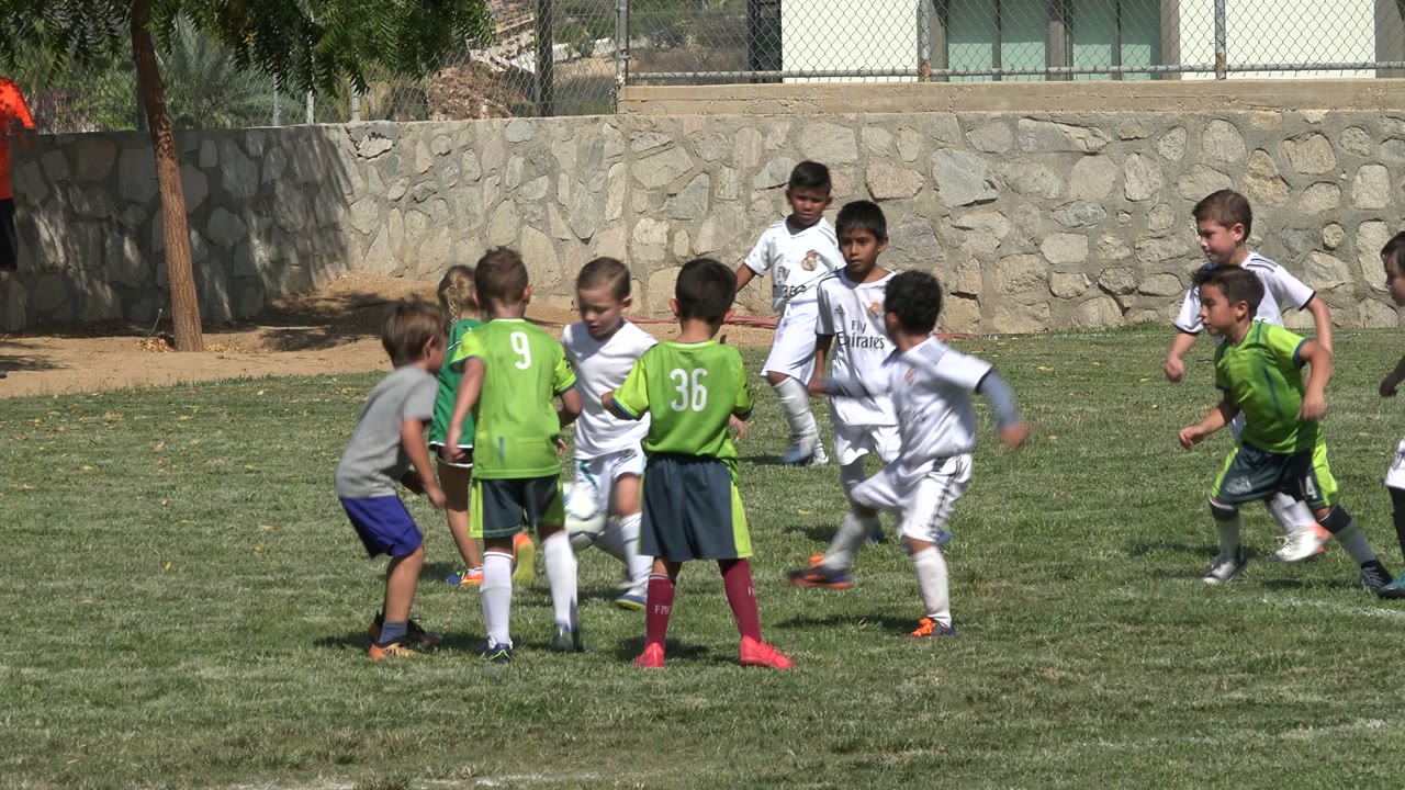 Several children in green and white soccer kits run toward a loose ball on the grass field in San Jose del Cabo, Mexico, while an adult in orange stands near the wall.