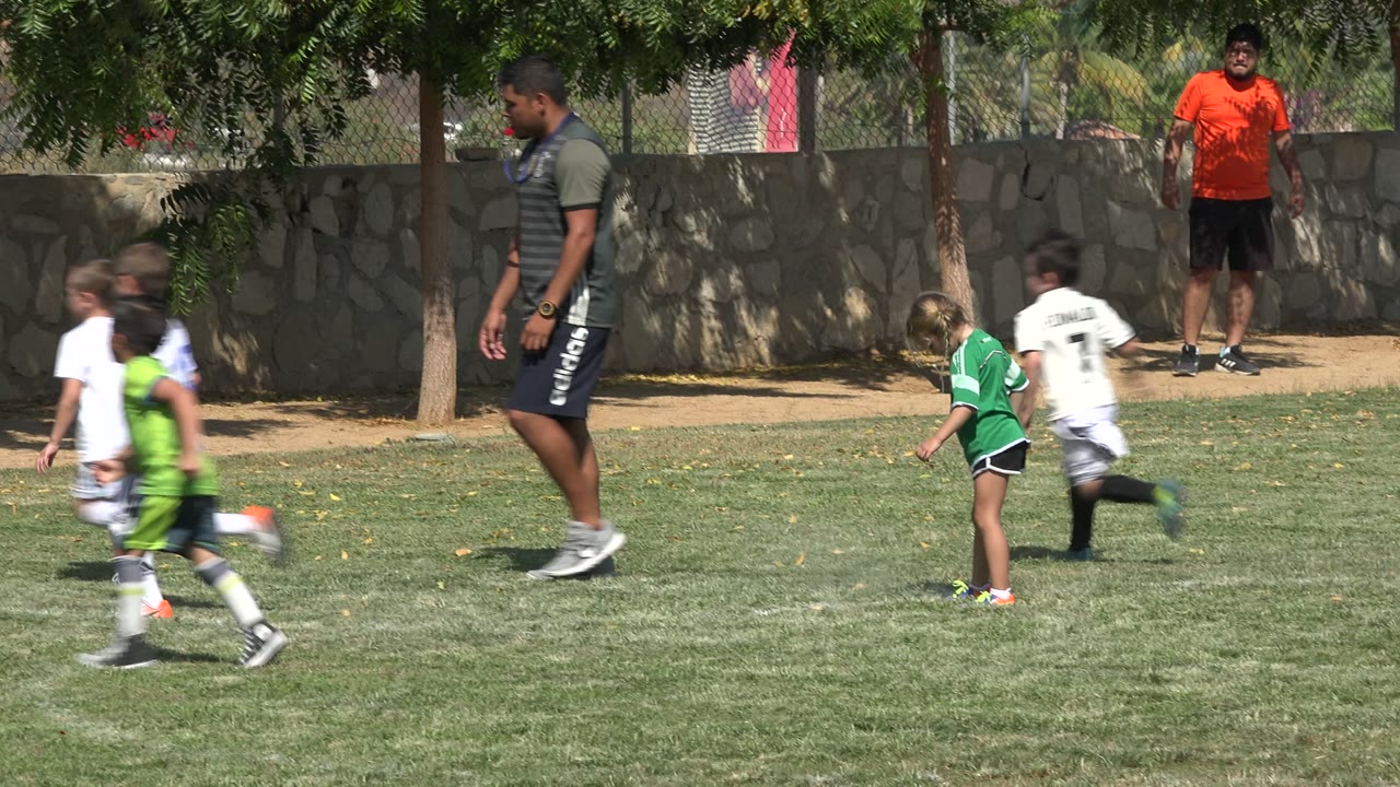 Children in soccer uniforms and a coach on a grass field.