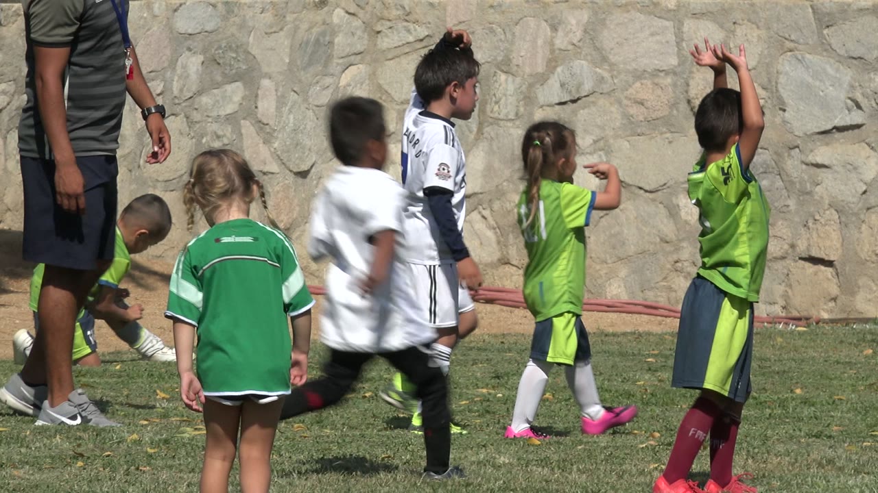 Children in green and white soccer uniforms on a grass field near a stone wall.