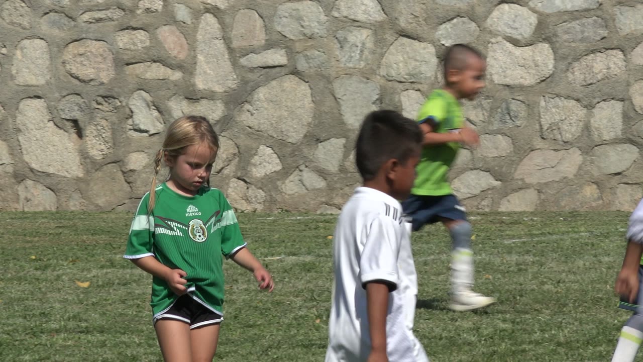 Young children in green and white soccer jerseys on a grass field near a stone wall.