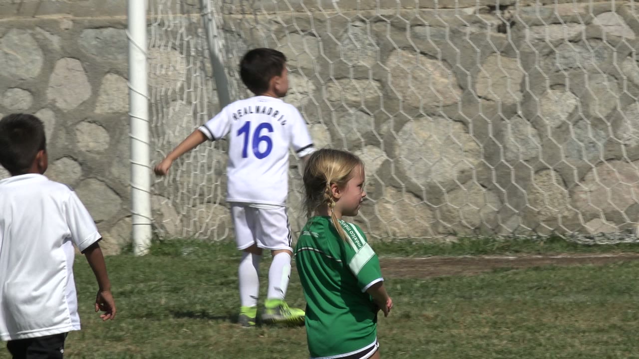 Children near a soccer goal on a grass field.