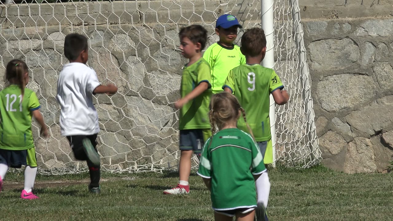 Children in soccer uniforms near a goal net on a grass field.
