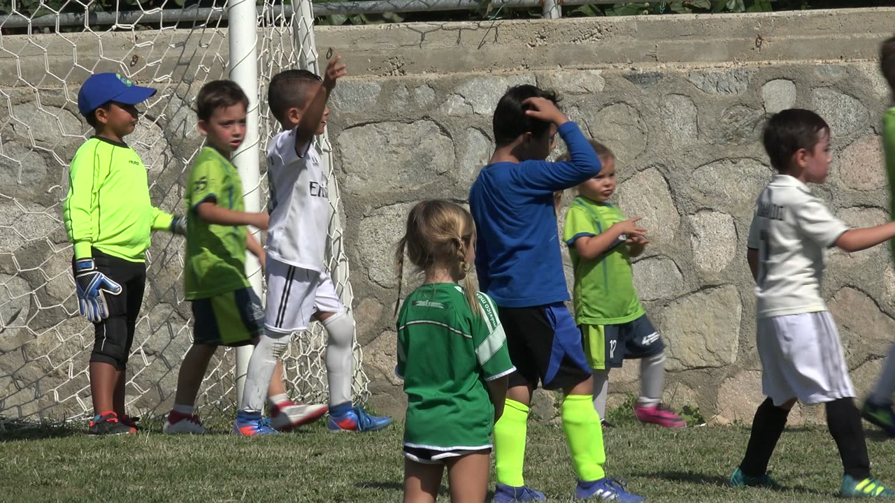 Children standing by a soccer goal on a sunny grass field.