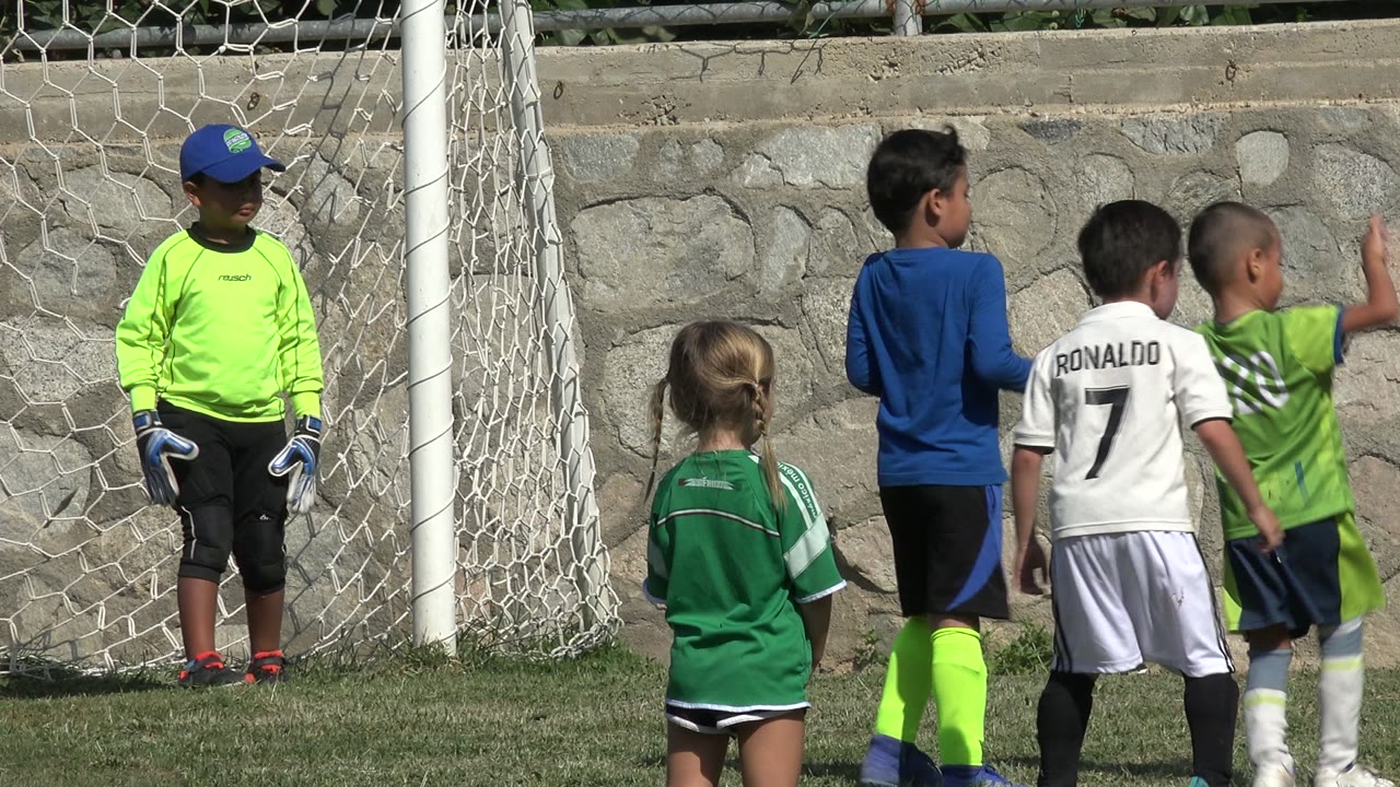 Children gathered near a soccer goal on a grass field.