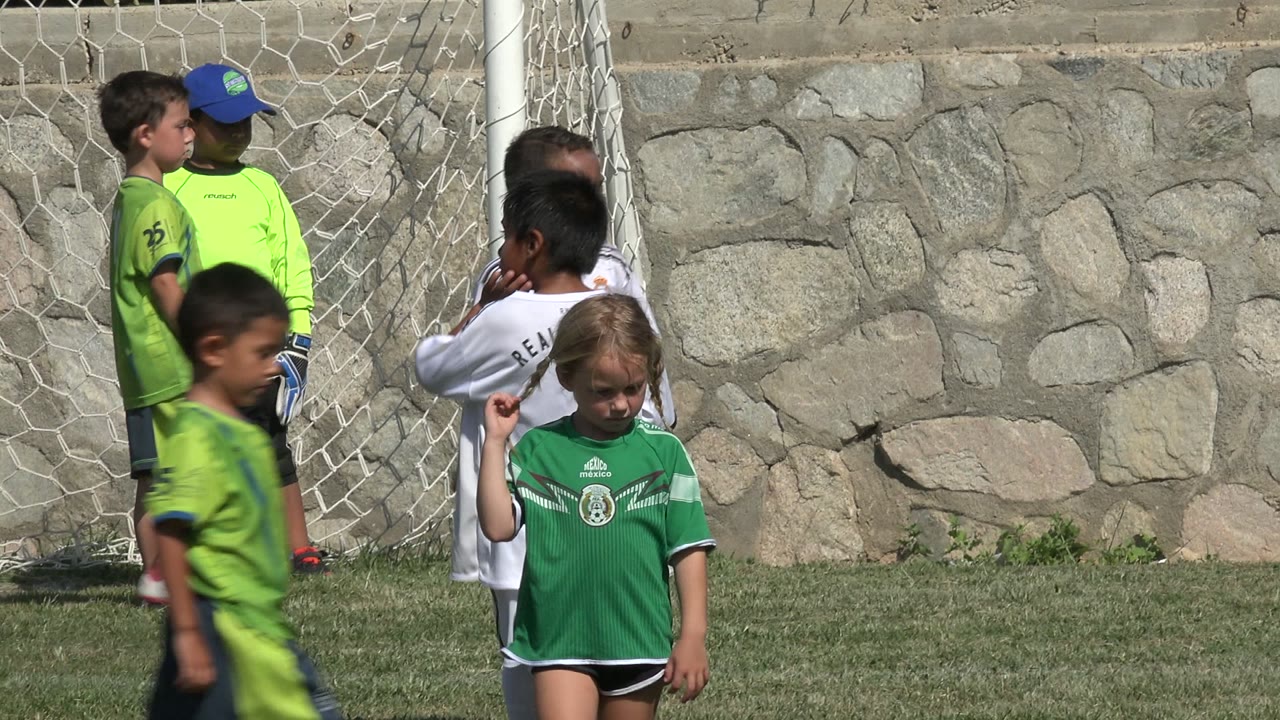 Children in green and white soccer uniforms stand near a goal net.