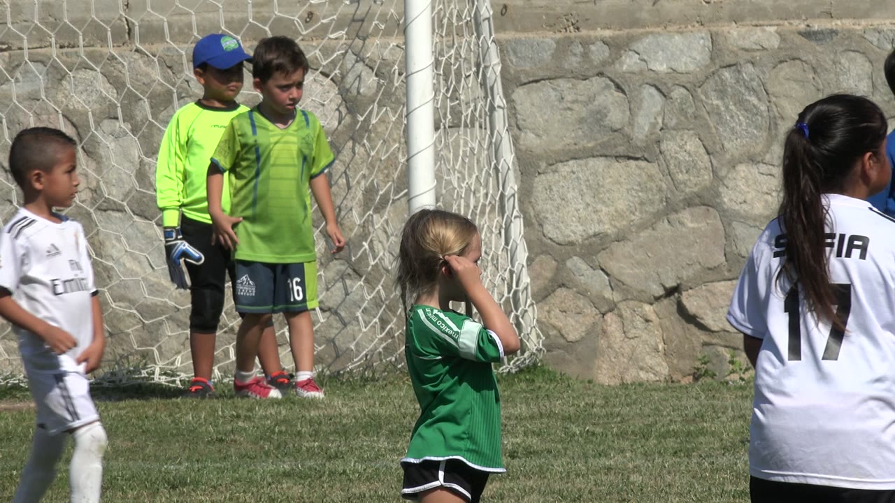 Children in soccer uniforms stand near a goal on a grass field.