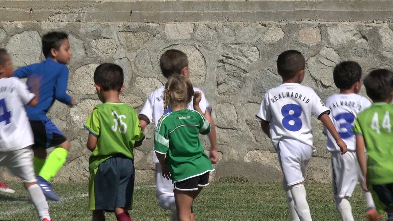 Children in green and white soccer uniforms move across a grass field in San Jose del Cabo, Mexico, with most players seen from behind near a stone wall.