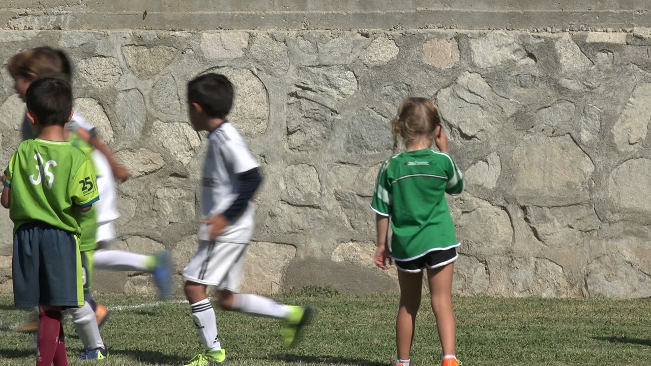 Children in soccer uniforms beside a stone wall on a grass field.