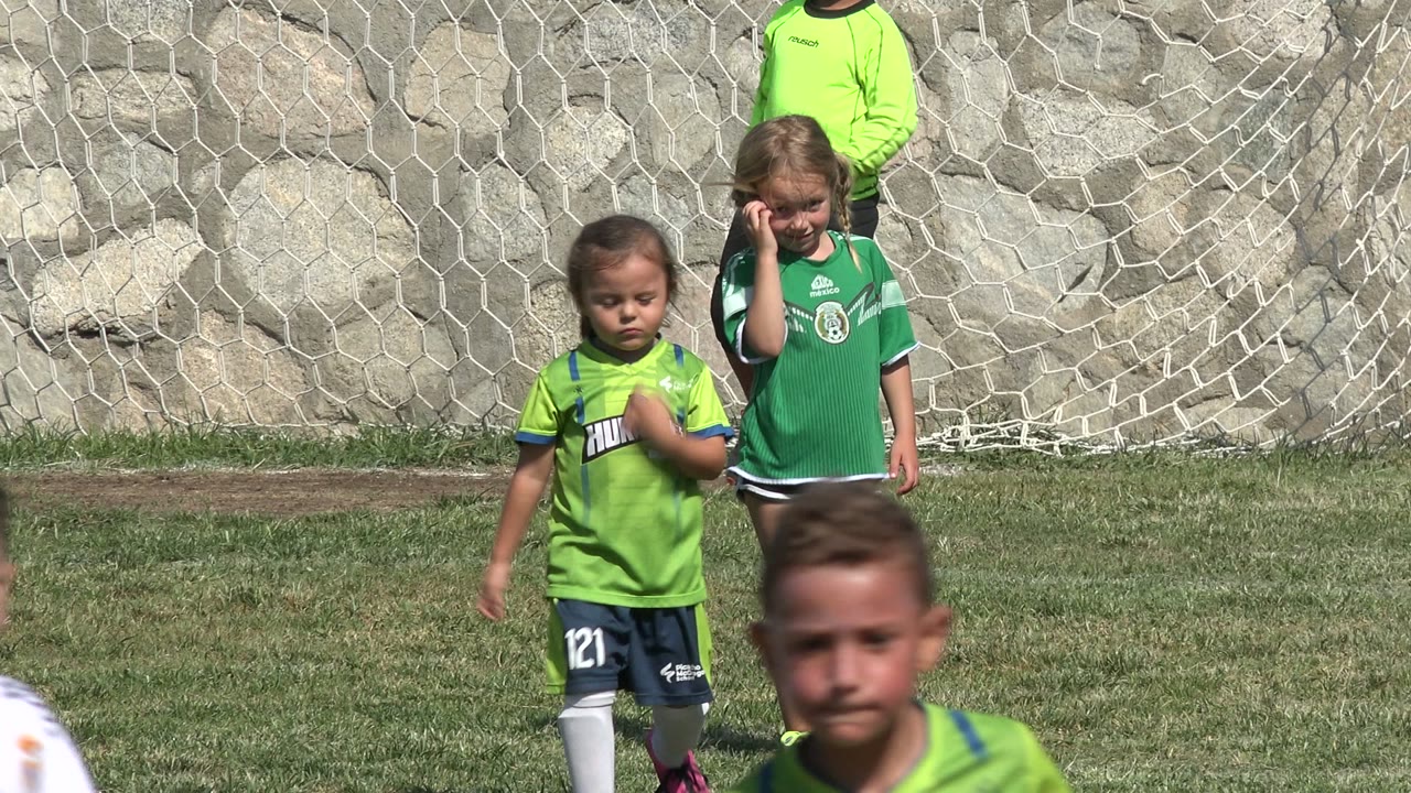 Young children in green soccer uniforms near a goal net on a grass field.