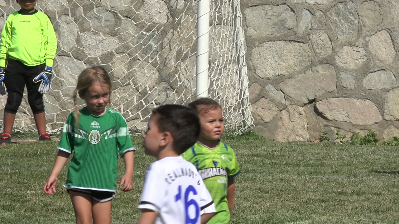 Children in soccer uniforms near a goal on a grass field.