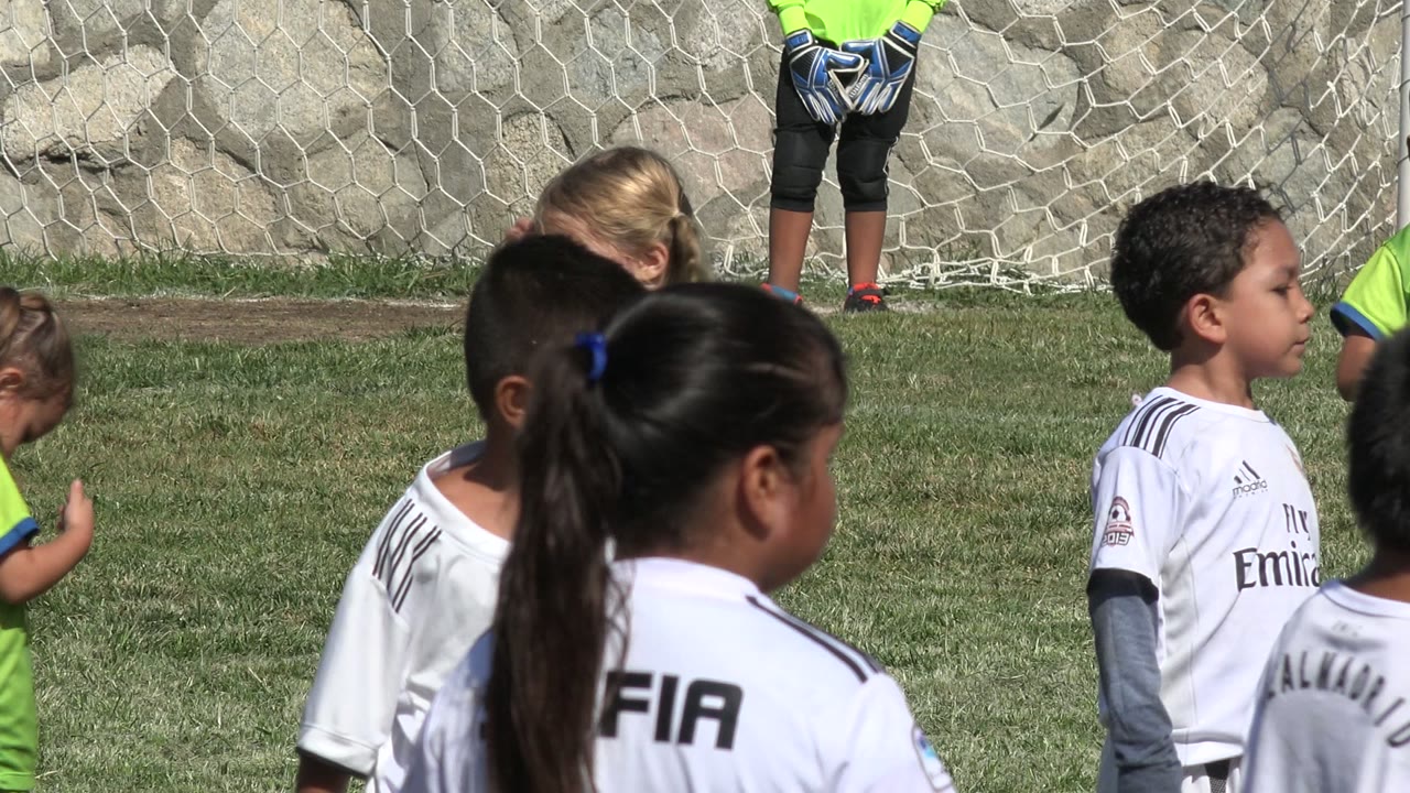 Children in white and green soccer uniforms gathered on a grass field near a goal.