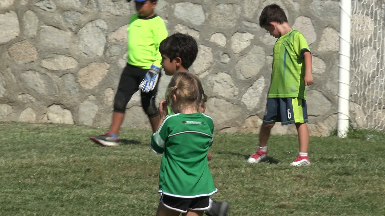Children in green soccer uniforms on grass near a goal and stone wall.