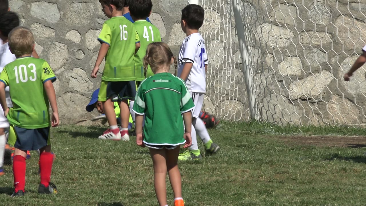Children in green and white soccer uniforms near a goal.