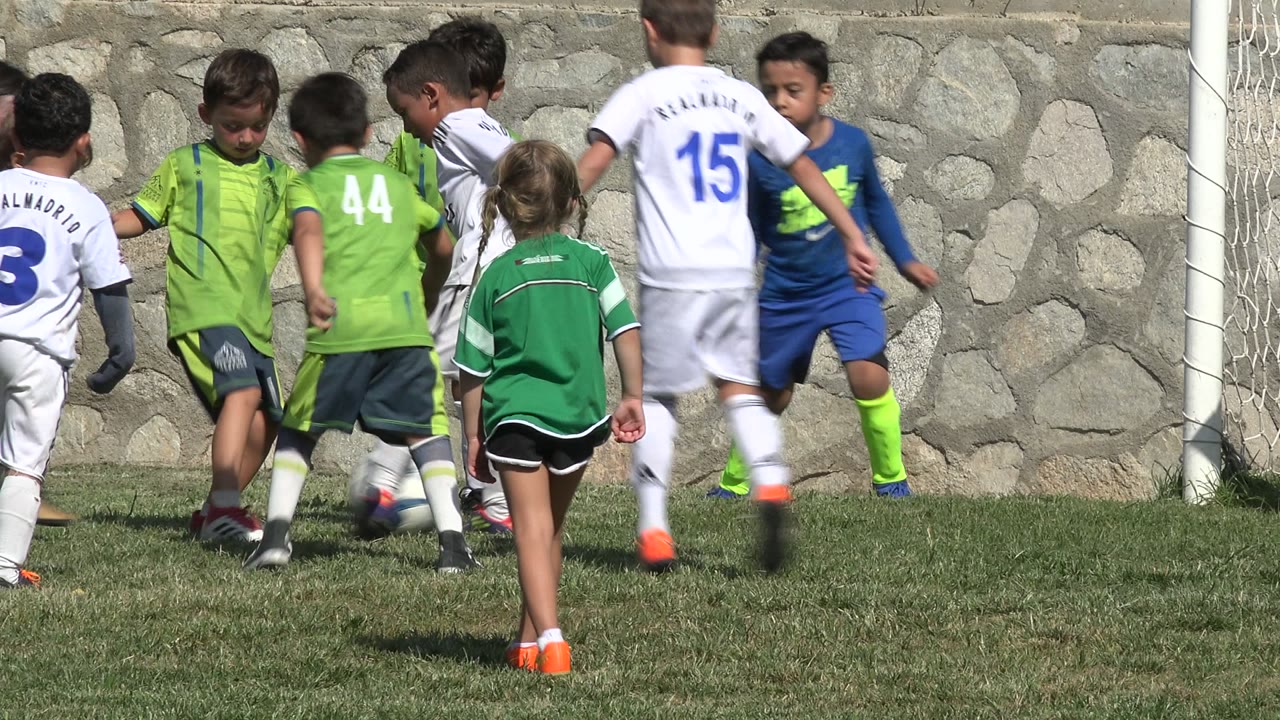 Children in green and white soccer uniforms crowd the ball near a goal.