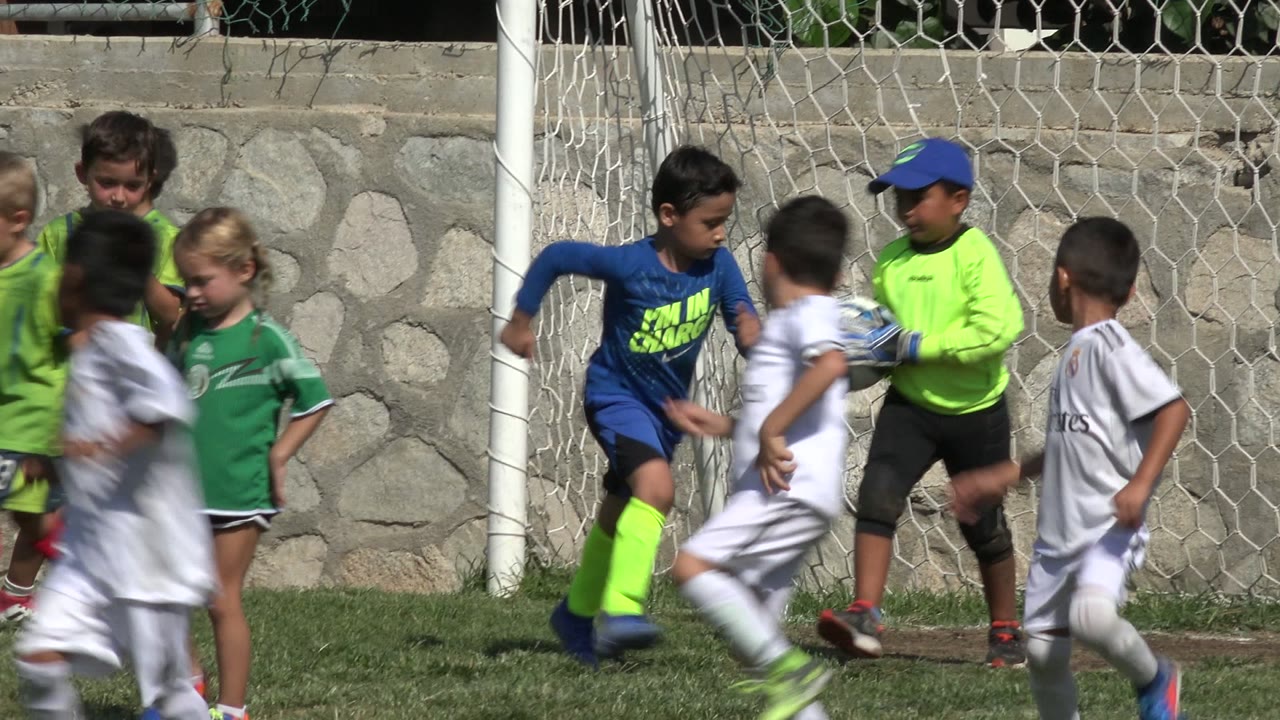 Children crowd near a soccer goal on a grass field.