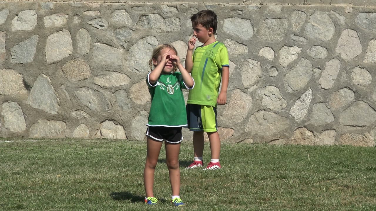 Two children in green shirts stand on grass in front of a stone wall.