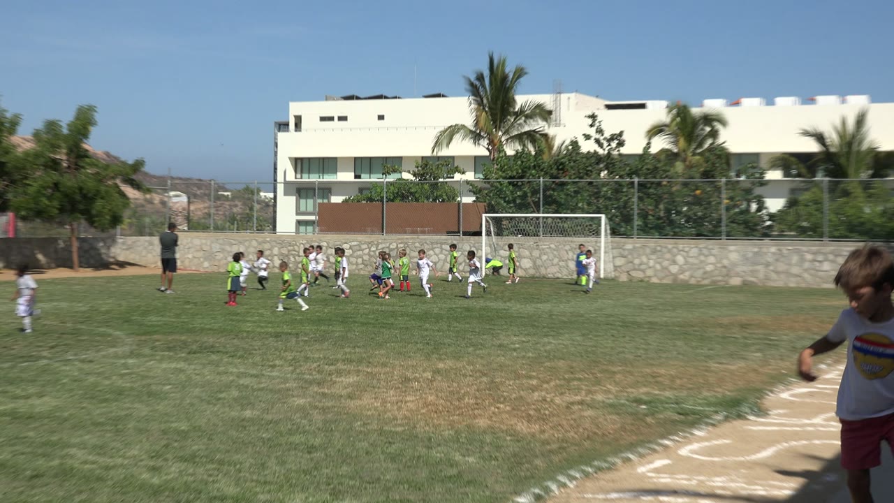 Wide view of children playing soccer on a grass field in San Jose del Cabo, Mexico, with a goal, stone wall, palm trees, and white buildings behind them.