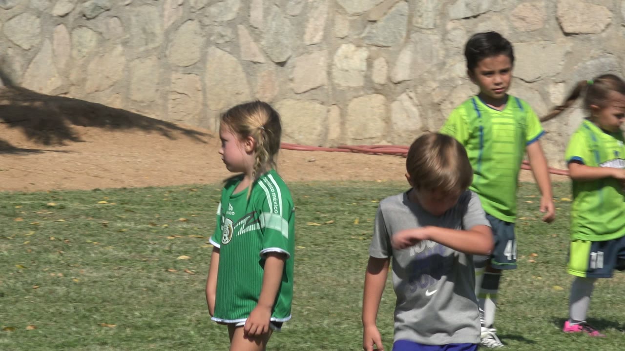 Children in soccer uniforms on a sunlit grass field.