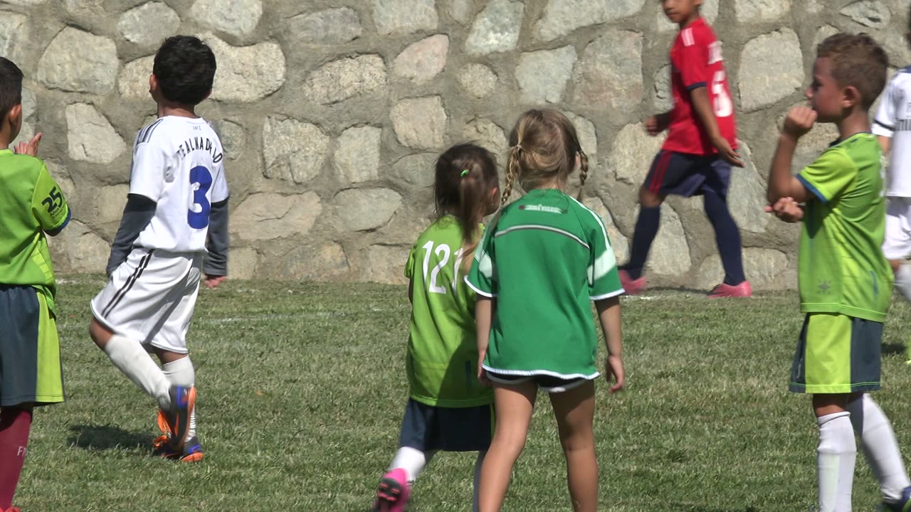Several children in green and white soccer kits move across the grass field in San Jose del Cabo, Mexico, with two red-shirted players passing along the wall in back.