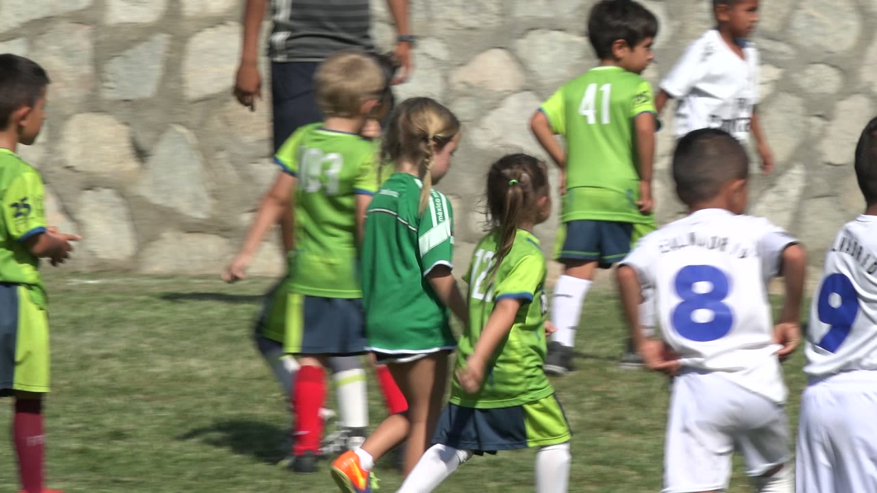 Children in green and white soccer uniforms gather near a goal on a grass field.