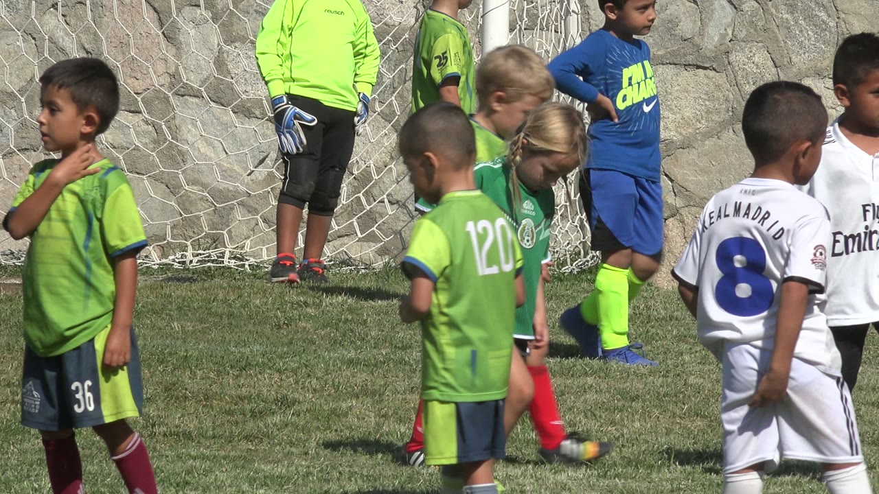 Children in soccer uniforms stand on grass near a goal net.