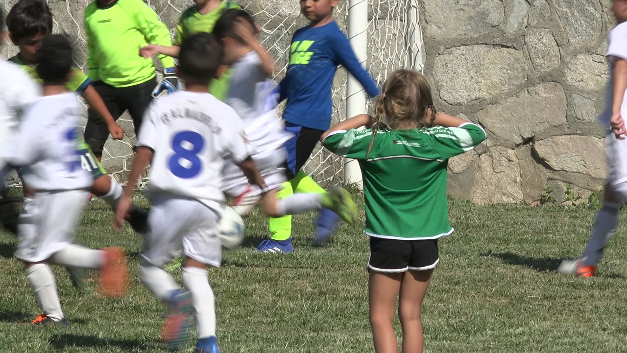 Children in soccer uniforms near a goal on a grass field.