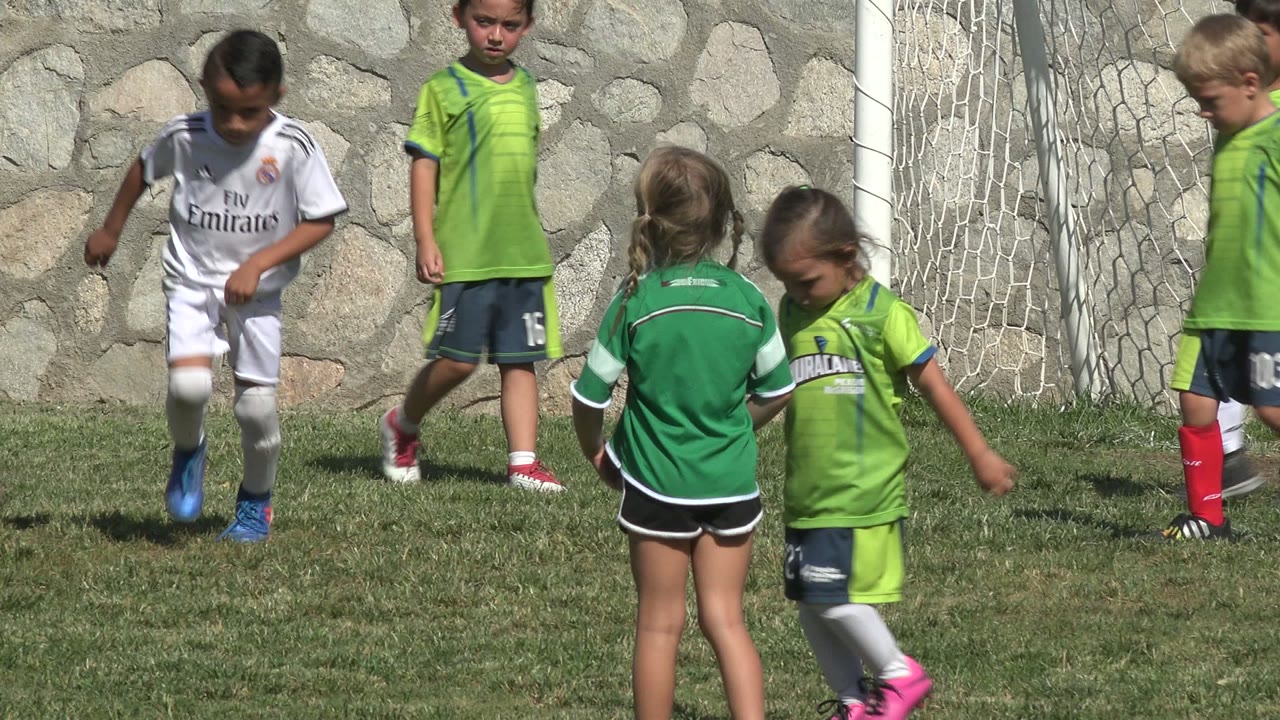 Girl in green jersey standing near children by a soccer goal.