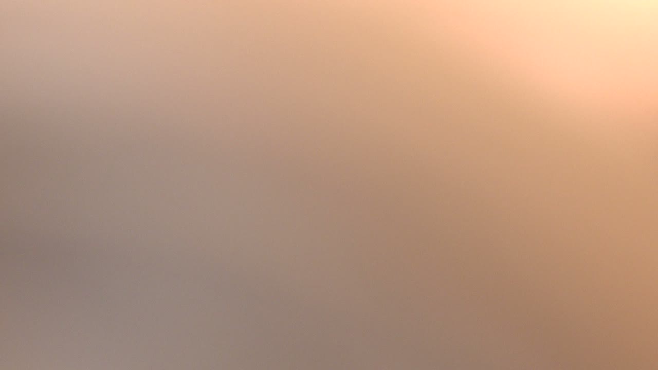 A soft, out-of-focus foreground dominates the frame, with a partial raised arm at the right edge and little usable detail from the San Jose del Cabo performance room.