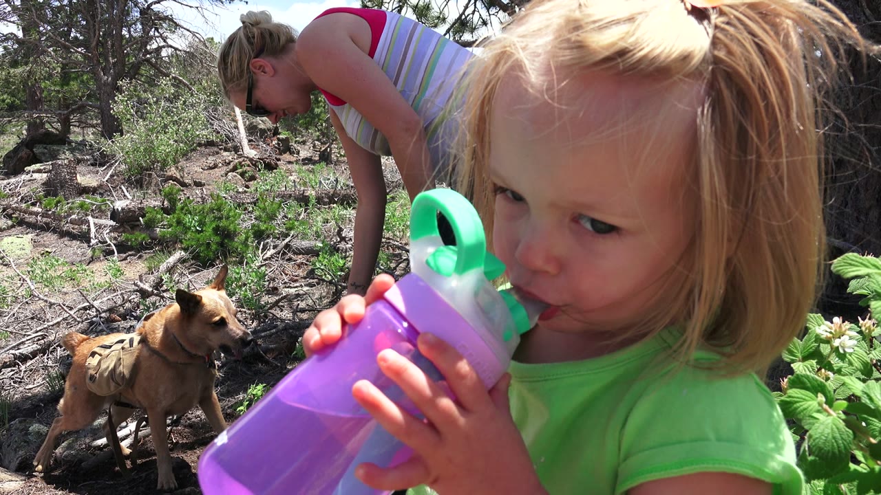 Little girl drinks from a purple bottle while an adult and dog appear behind her in a wooded garden.