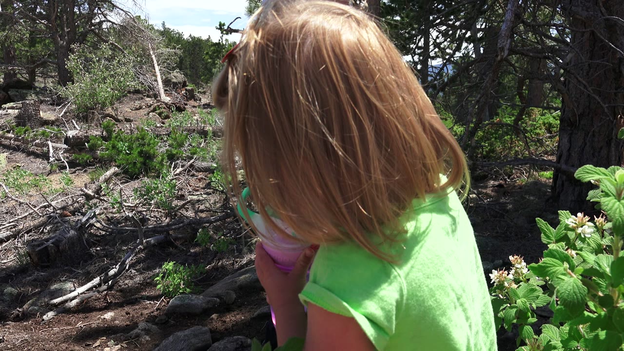 Blonde child in a green shirt seen from behind in a wooded area.