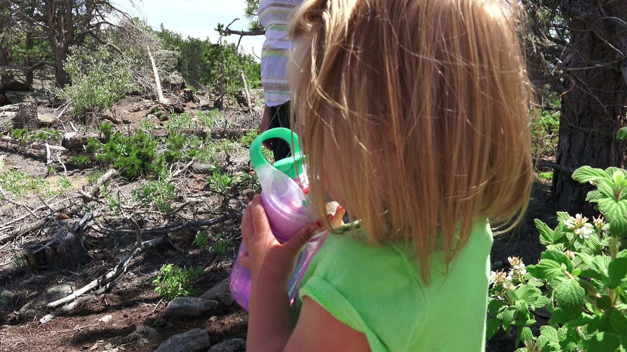 A child in a green shirt holds a purple bottle near her face while standing beside broad green leaves and dry branches in Westminster, Colorado woods.