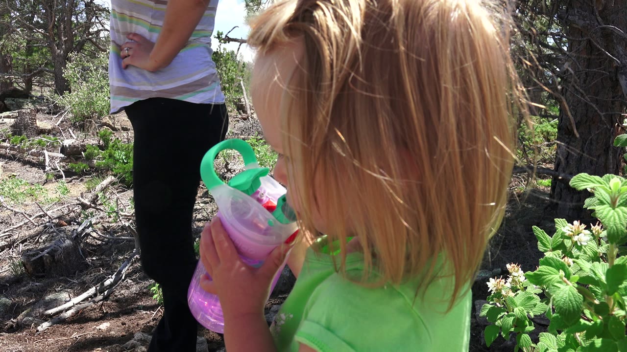 Blonde child drinks from a purple cup while an adult stands in a wooded garden area.