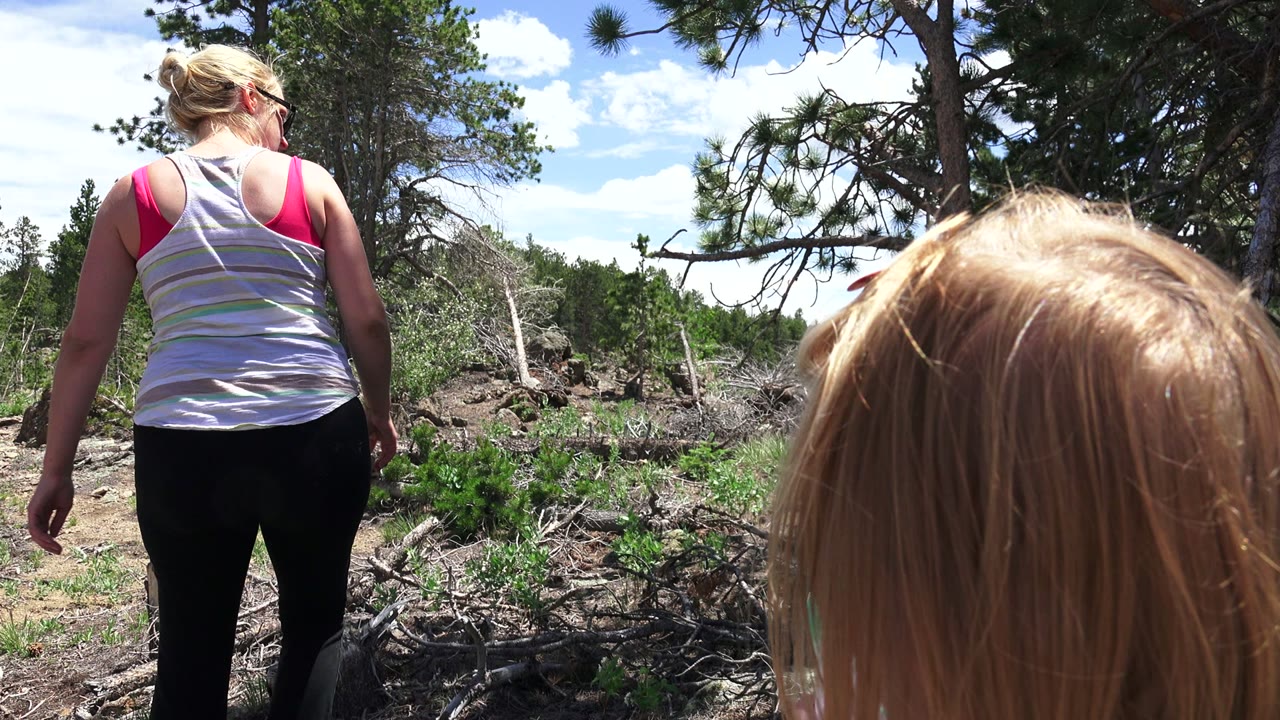 In Westminster, Colorado, the woman is centered from behind as she walks ahead, with the child's hair at the right edge and fallen branches across the ground.