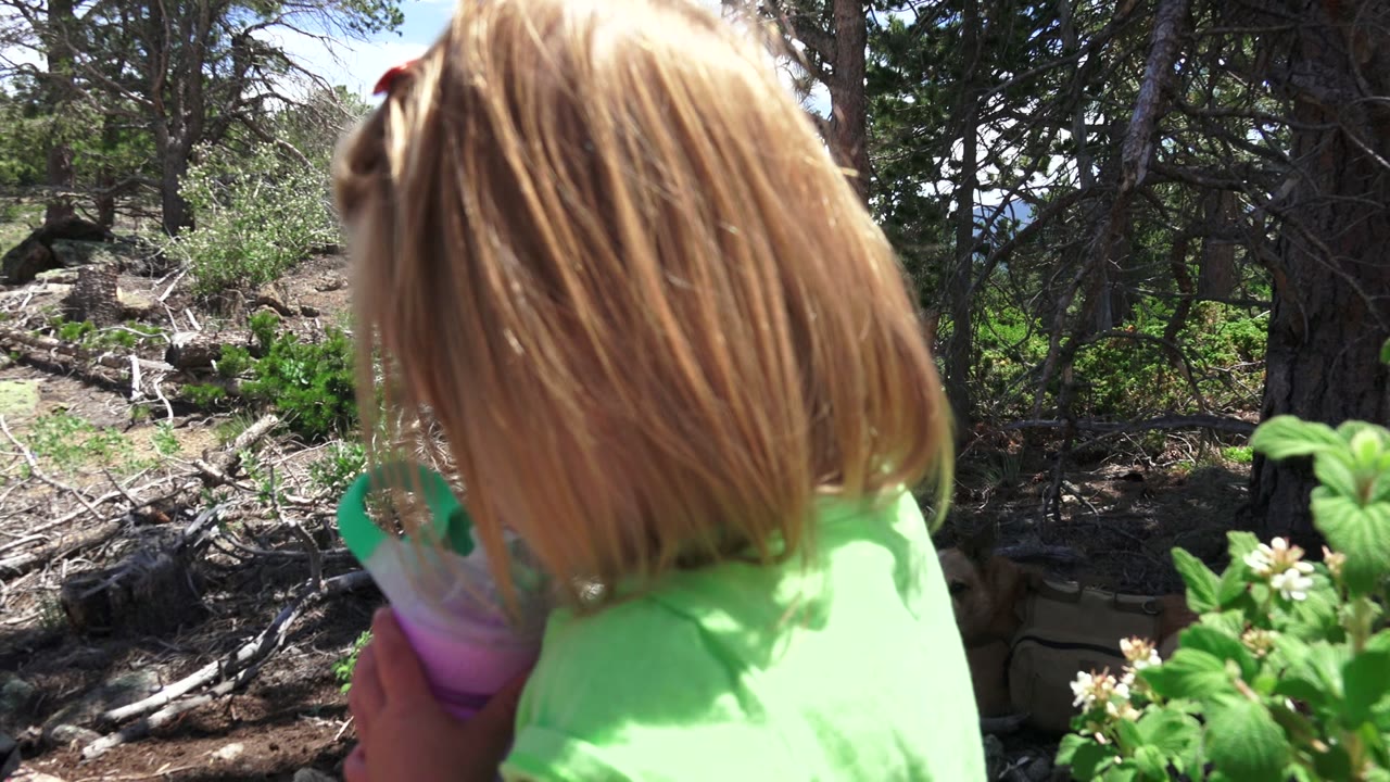 The child turns partly away while holding a purple cup, with blonde hair, green shirt, leafy plants, and trees visible in Westminster, Colorado.