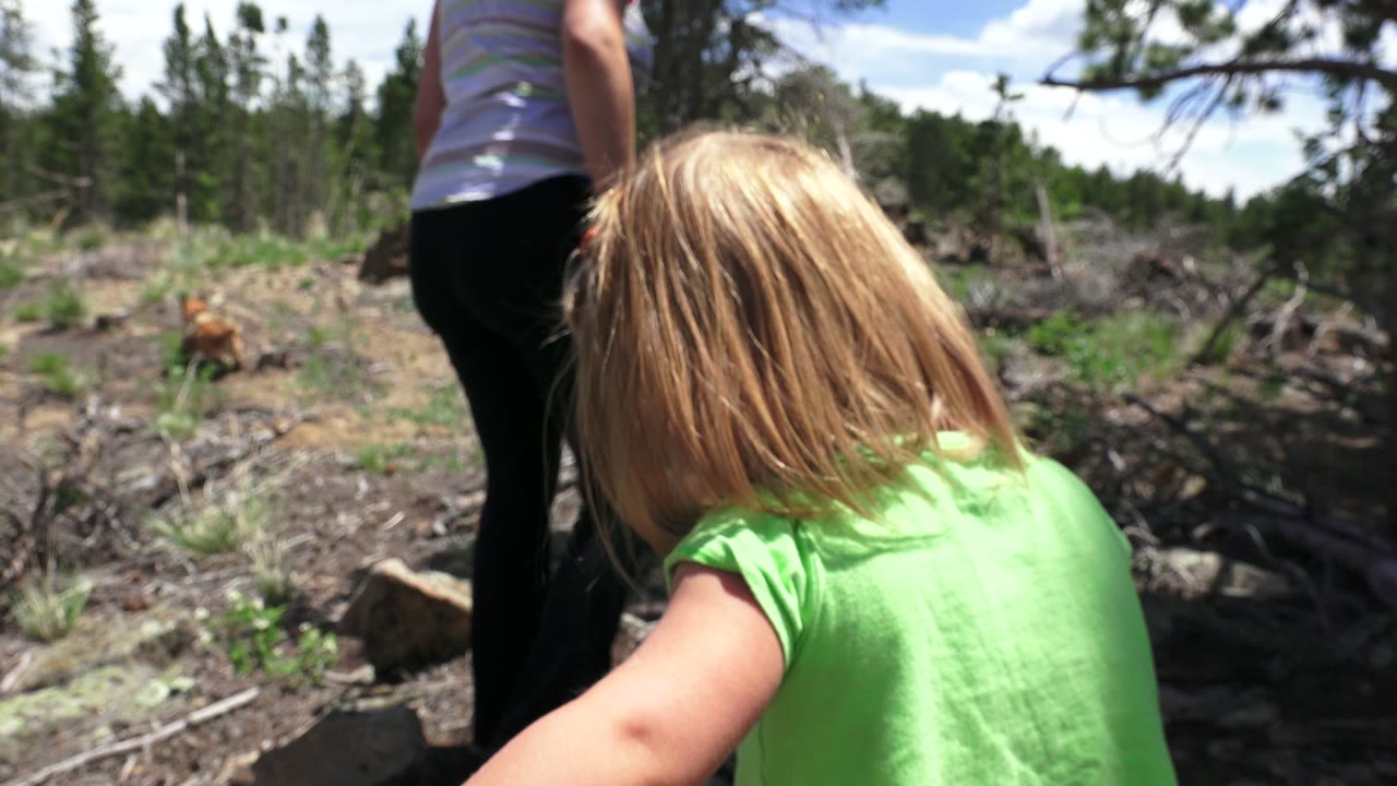 One second into the Westminster, Colorado footage, the child remains close to camera from behind while the adult's legs and torso lead through a dry, logged forest area.