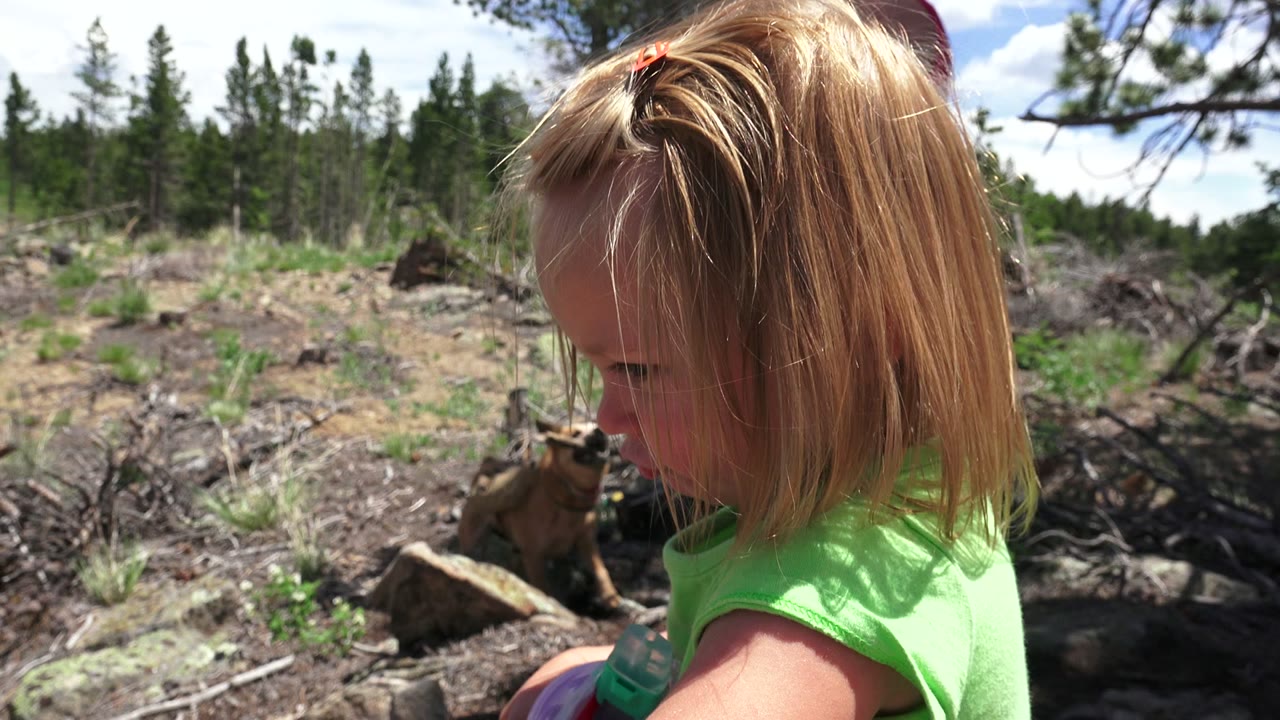 Young blonde girl in a green shirt near logs with a tan dog behind her.