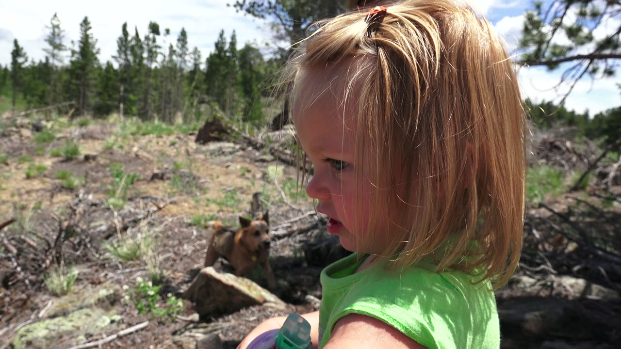 Profile view of the young girl in Westminster, Colorado, with her face turned left and a small tan dog sitting among logs and brush in the midground.