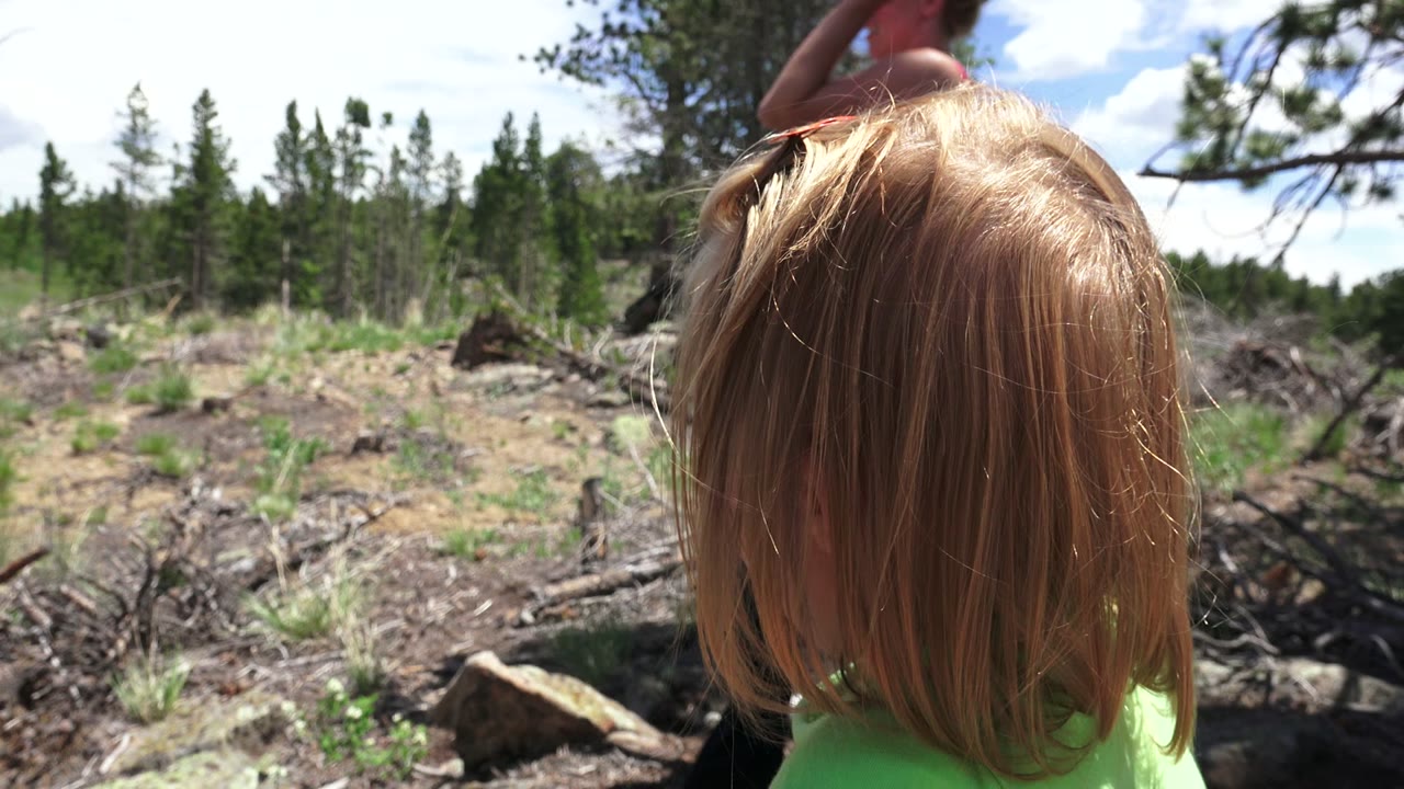Blond child seen from behind in a sunny wooded clearing.