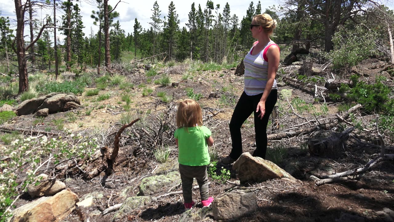 Woman and young child standing among rocks and fallen branches in a wooded clearing.