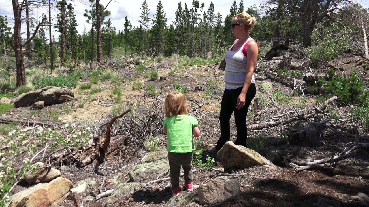 One second in, the child stands with her back to the camera while the woman faces left in the Westminster, Colorado woodland, surrounded by rocks, branches, shrubs, and tree trunks.