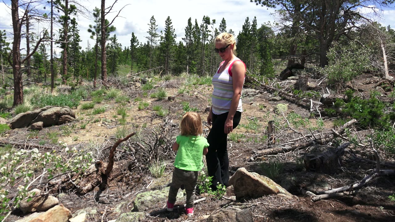 At 0:01, the child faces away from camera while the mother looks down near a tangle of fallen wood and small evergreens in Westminster, Colorado.