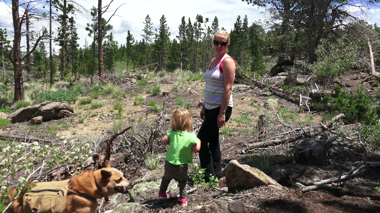 Woman and child standing as a tan dog enters the rocky foreground.