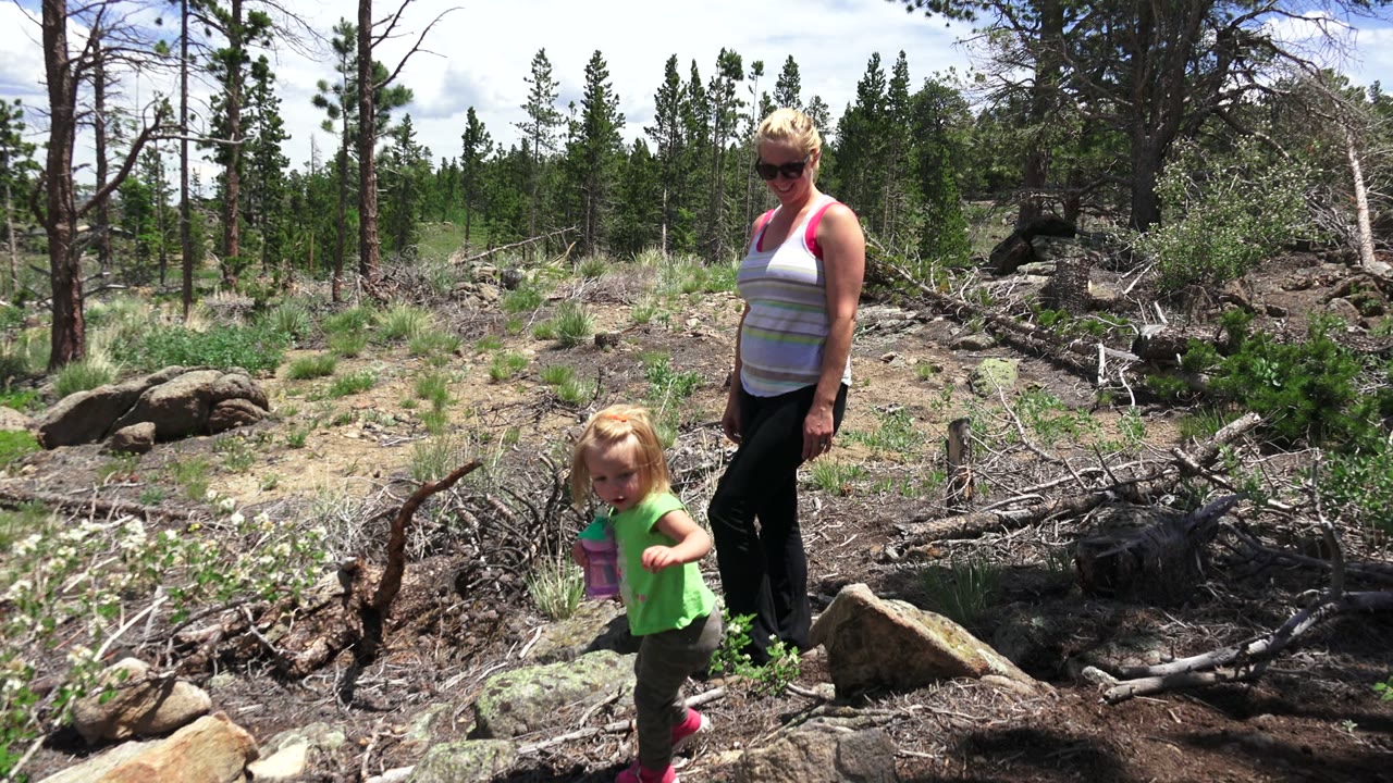 Toddler and woman standing among rocks and fallen branches in sparse woods.