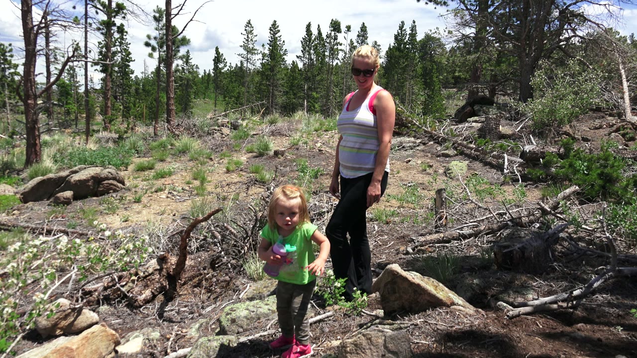 In Westminster, Colorado, the toddler steps more toward the camera holding a purple cup as the adult remains behind on the uneven ground.