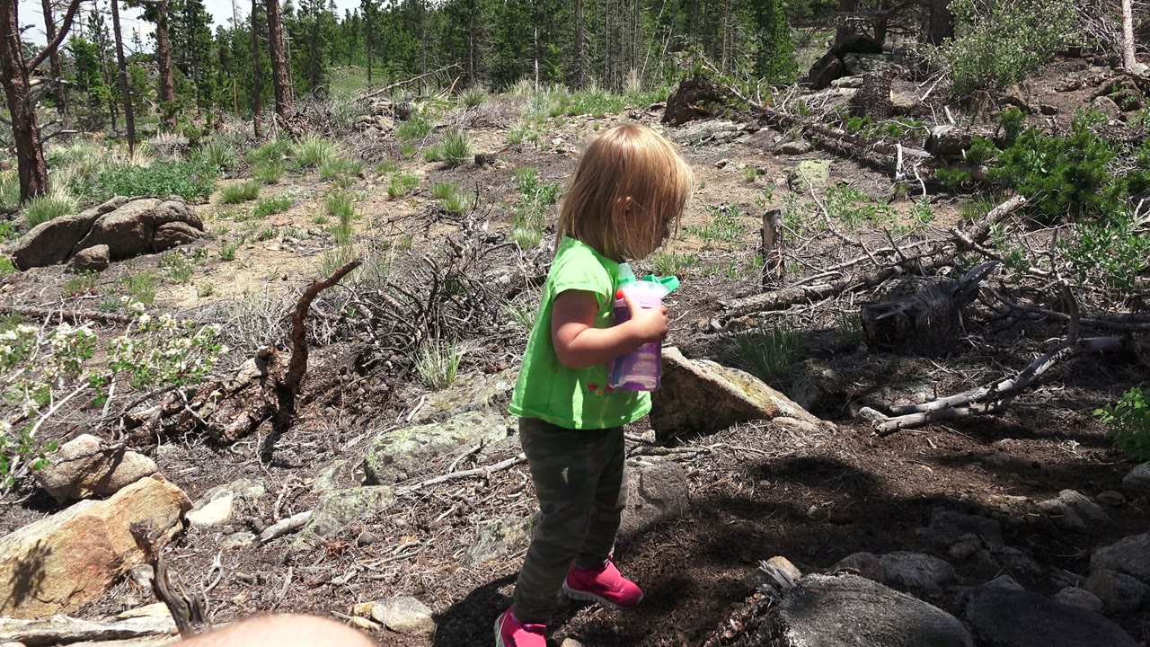 The young girl steps across uneven rocky ground in Westminster, Colorado, with fallen branches, boulders, grasses, and trees behind her.