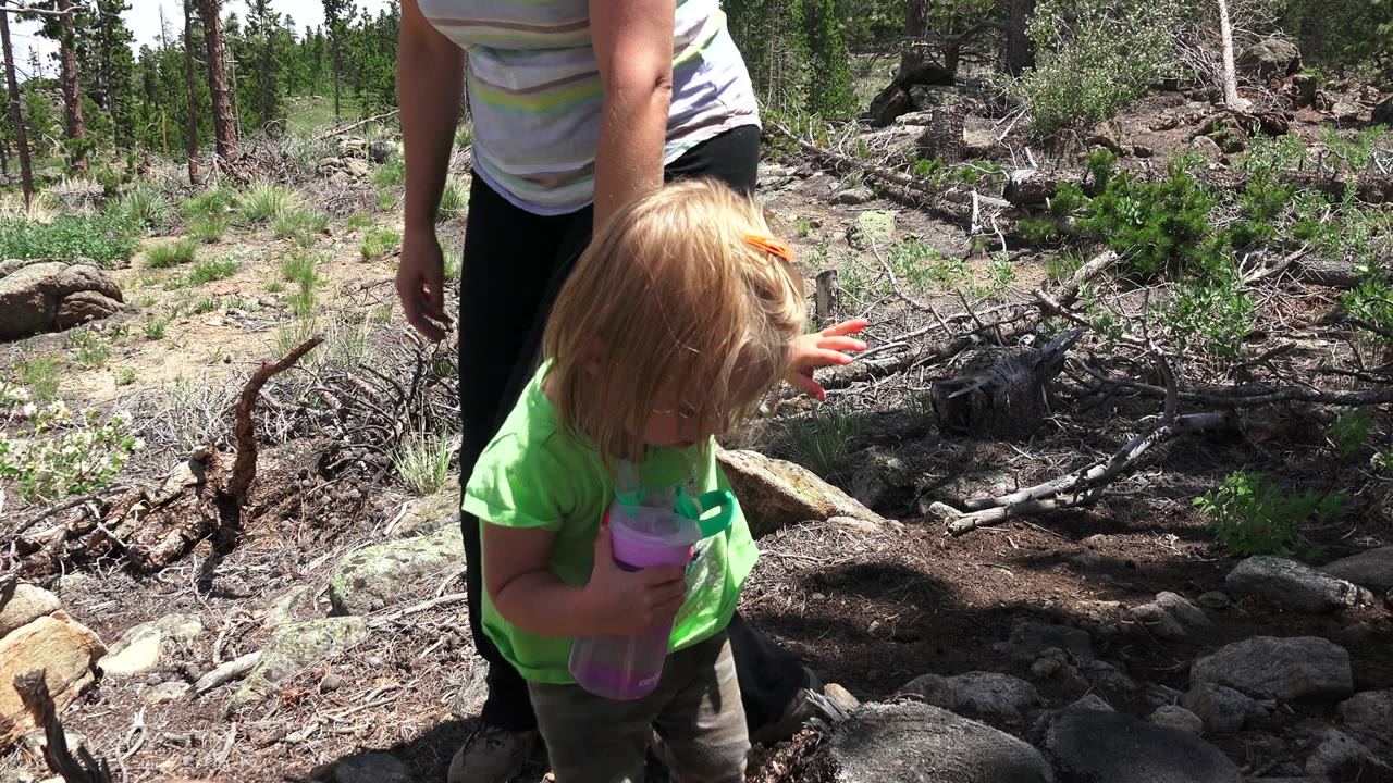 Young child standing near an adult on rocky forest ground